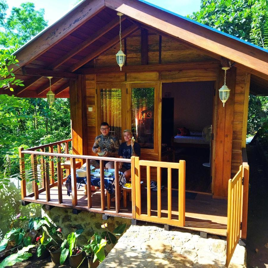 Hotel Diyaluma View Cotage Koslanda Exteriér fotografie